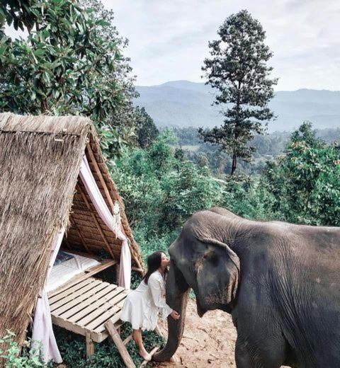 The Chai Lai Orchid Hotel Chiang Mai Luaran gambar