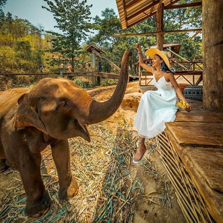 The Chai Lai Orchid Hotel Chiang Mai Luaran gambar